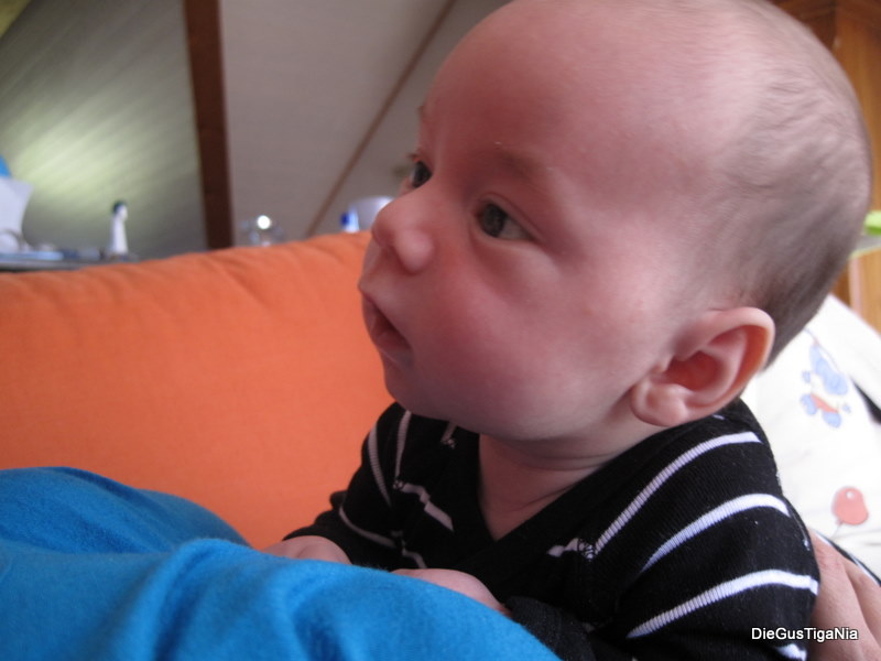 2011-04_0015.JPG