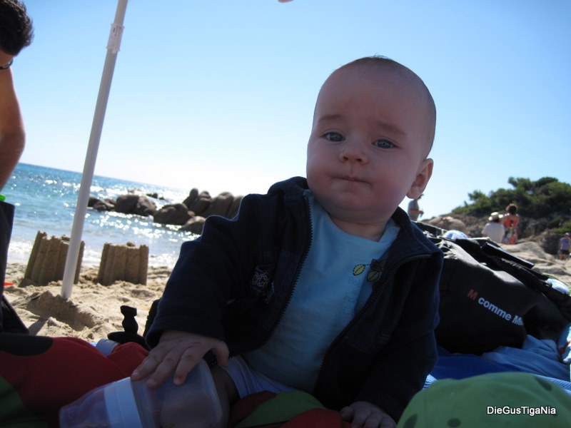 2011-09-47.jpg