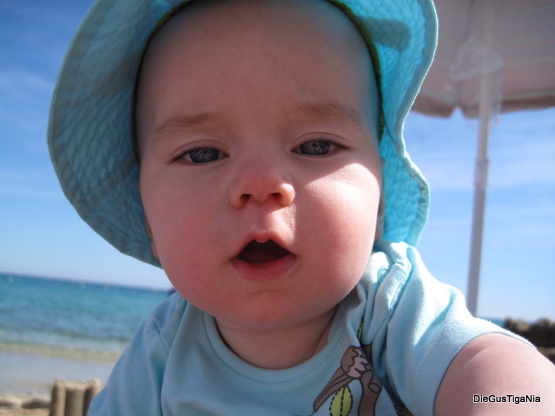 2011-09-50.jpg