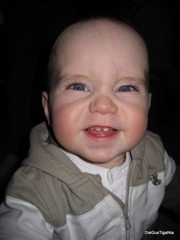 2012-02-02.JPG