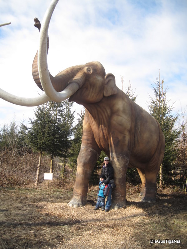2012-02-83.JPG