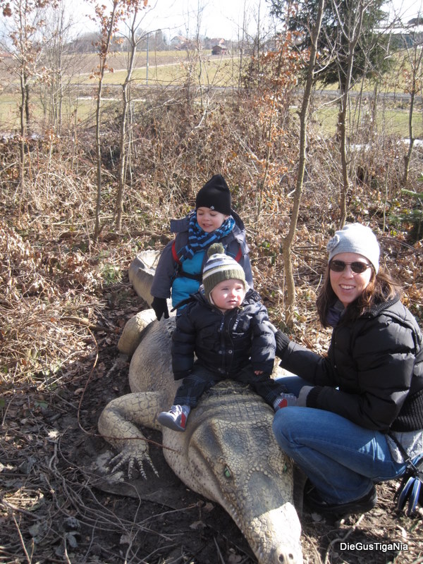 2012-02-84.JPG