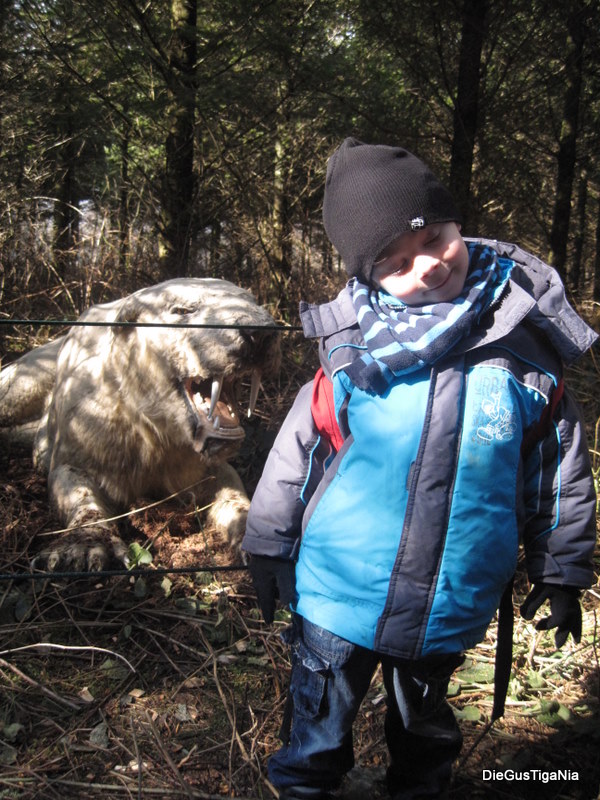 2012-02-86.JPG