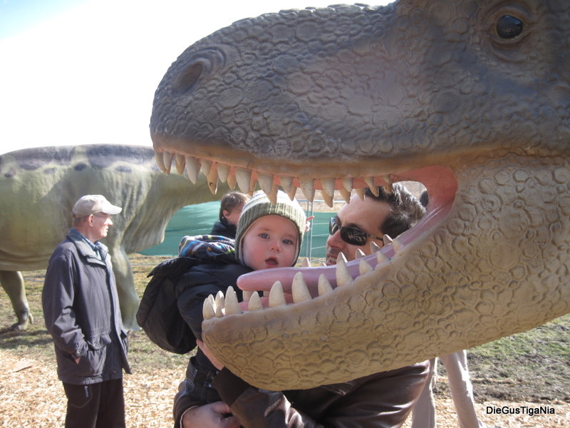 2012-02-91.JPG