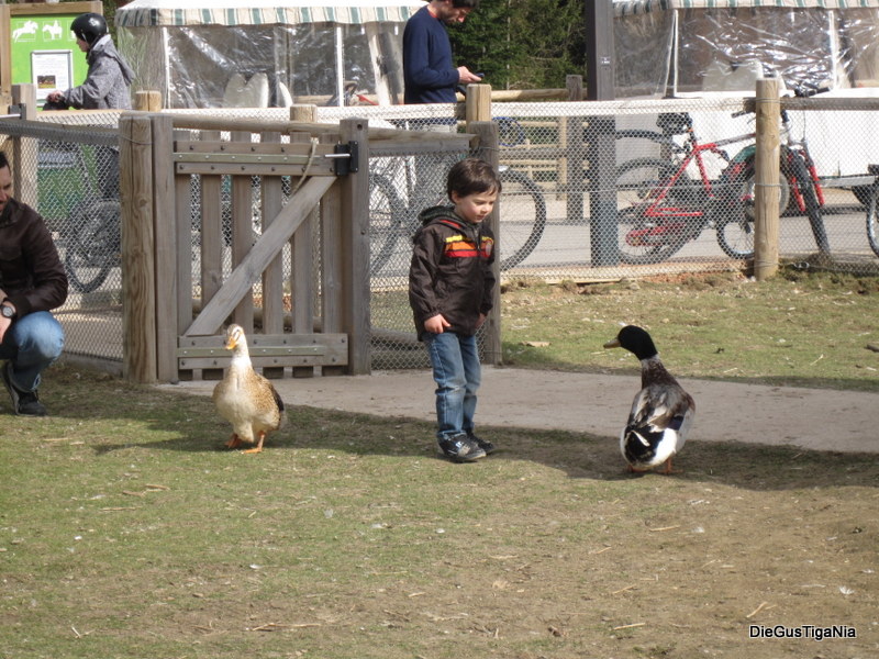 2012-04-17.JPG