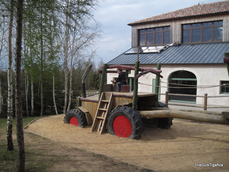 2012-04-19.JPG