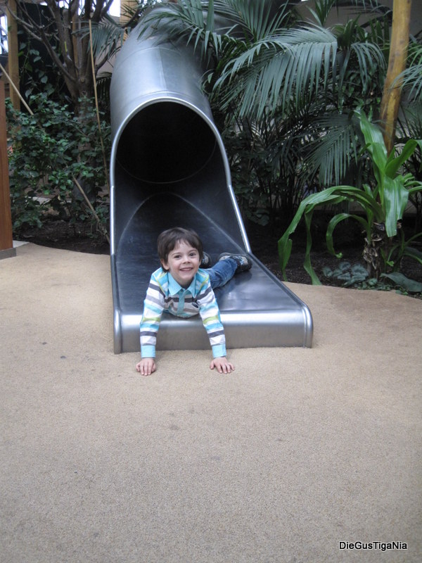 2012-04-28.JPG