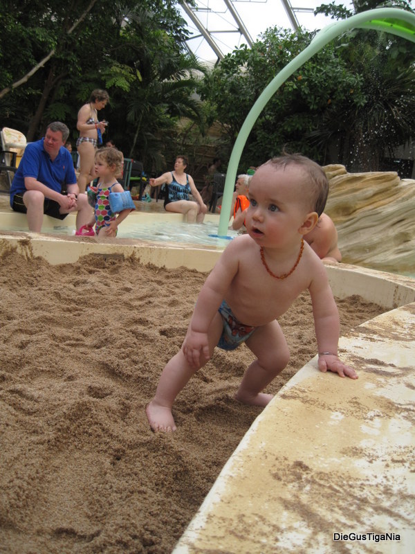 2012-04-31.JPG