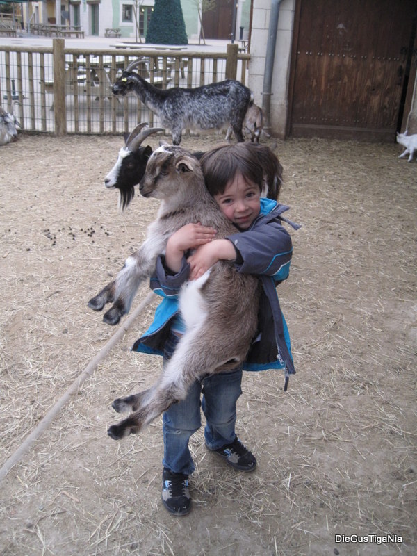 2012-04-47.JPG