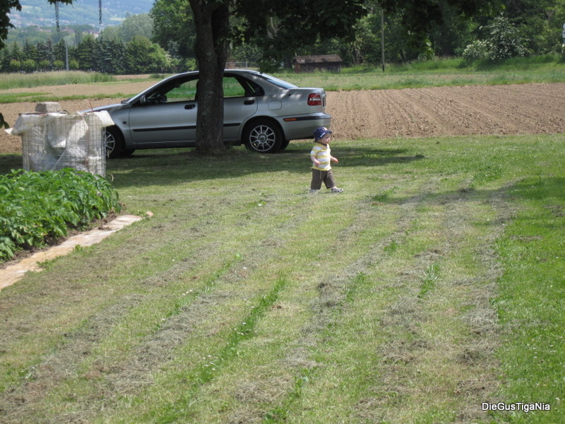 2012-05-22.JPG