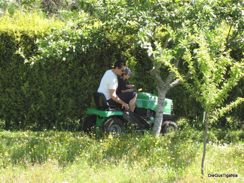 2012-07-035.JPG