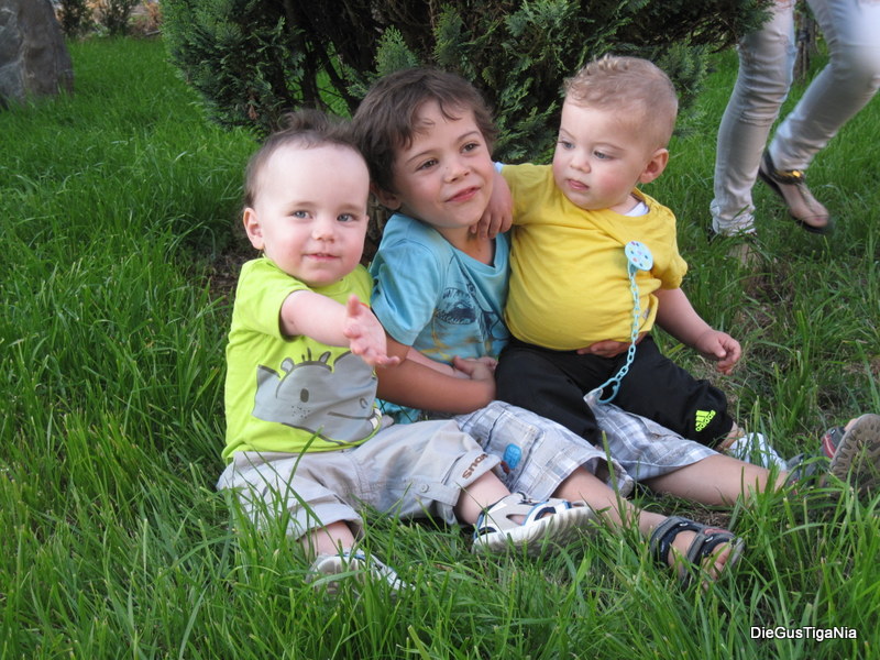 2012-07-116.JPG