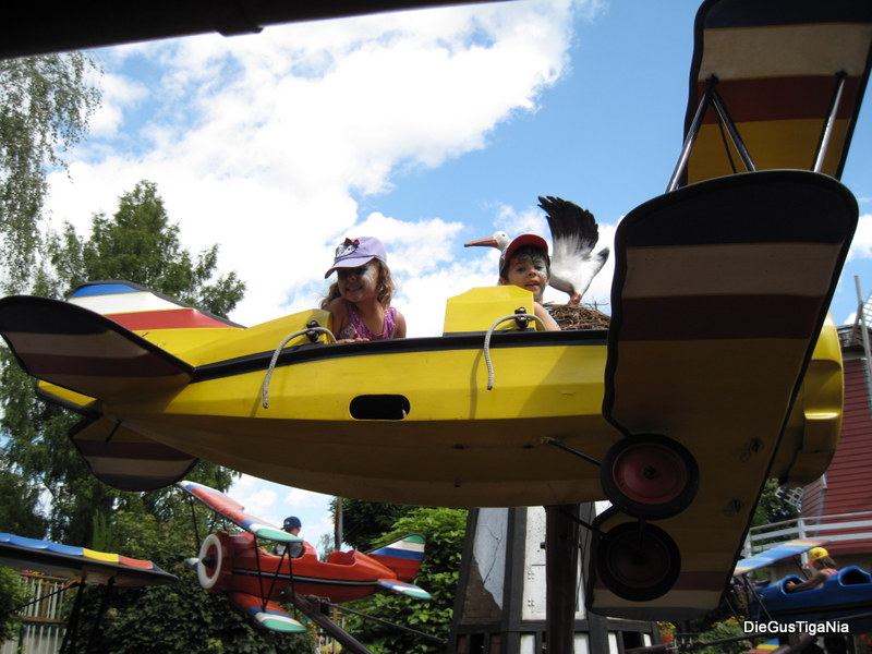 2012-08-19.JPG