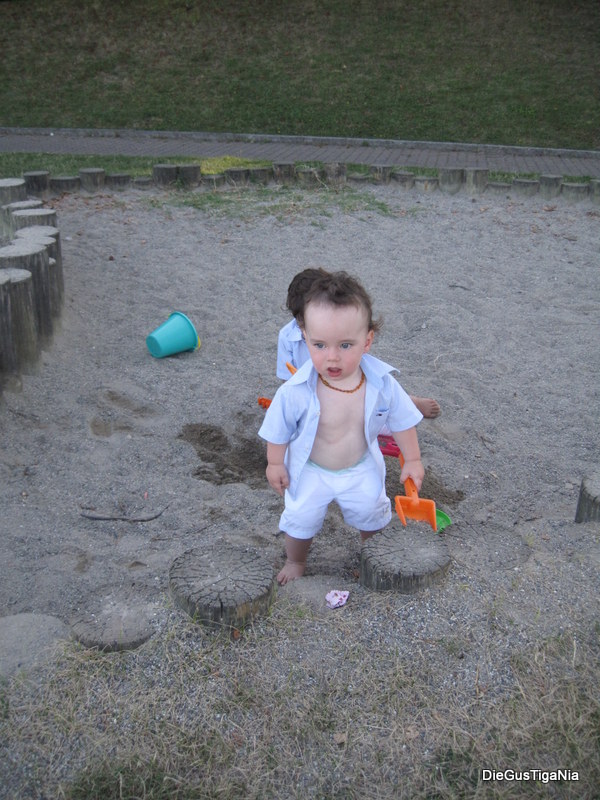 2012-08-28.JPG