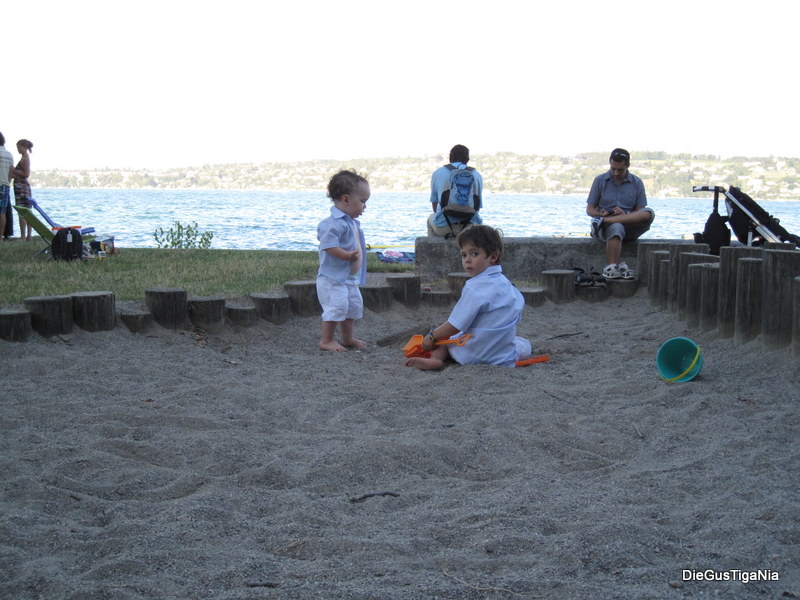 2012-08-29.JPG