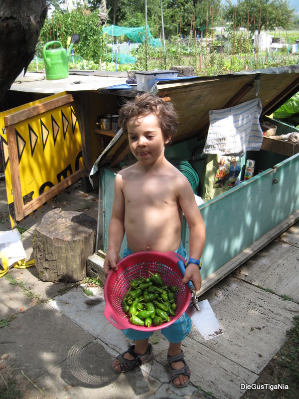 2012-08-41.JPG