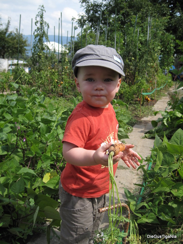 2012-08-42.JPG
