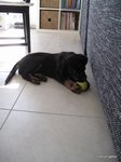 2012-08-27.JPG