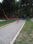 2012-08-47.JPG