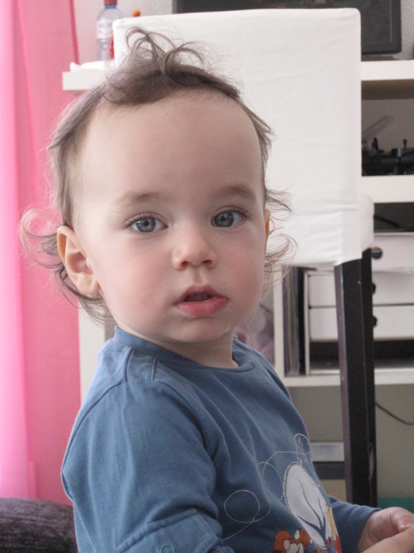 2012-11-02.JPG