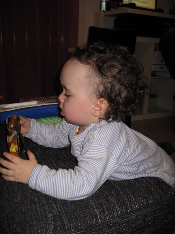 2012-11-10.JPG