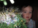 2012-12-008.JPG