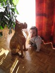 2012-12-092.JPG
