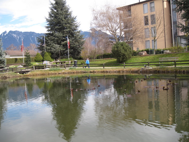 2013-04_023.jpg