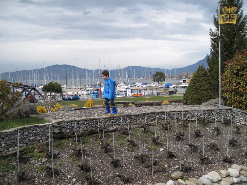 2013-04_029.jpg