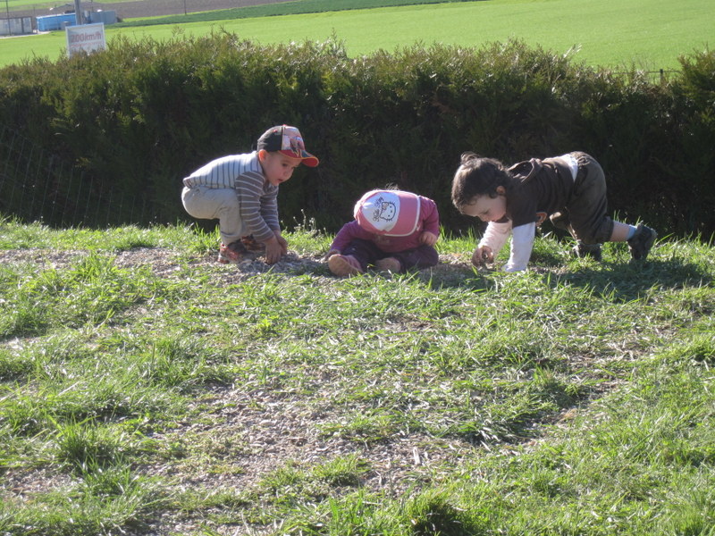 2013-04_050.jpg