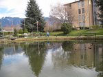 2013-04_023.jpg