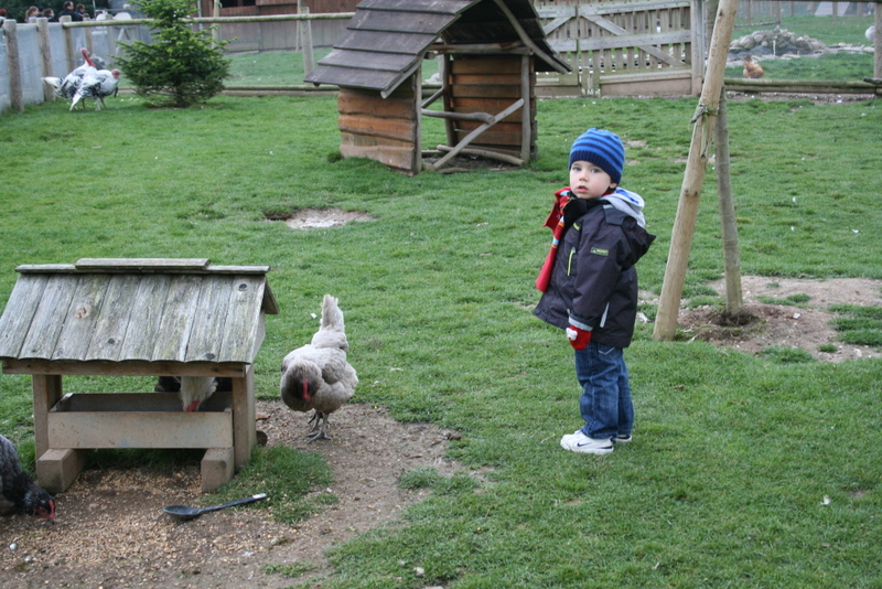 2013-10_017.jpg