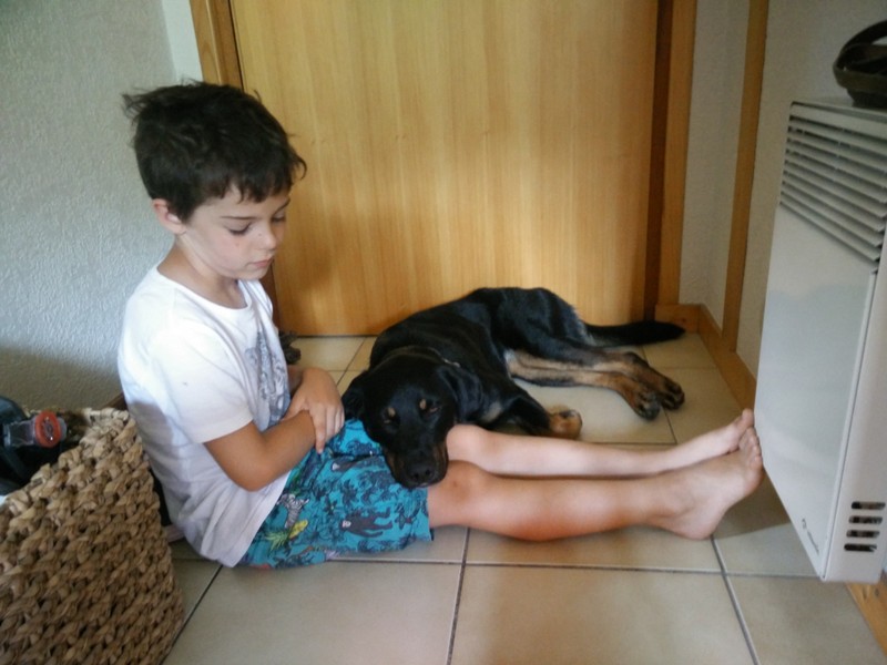 2015-07-08 15-32-48_smartphone.JPG