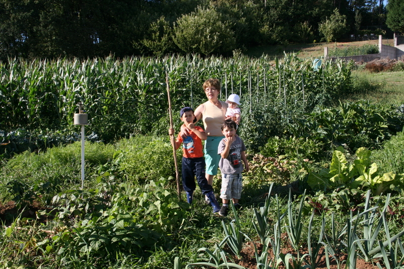 2015-08-02 18-26-41.JPG