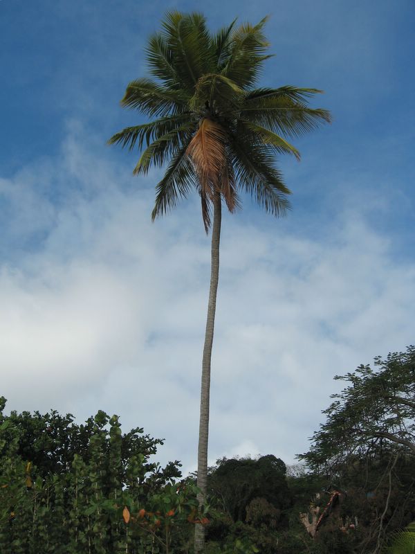 03_BQ_25.JPG