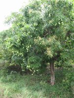 03_BQ_04.JPG