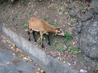 03_BQ_09.JPG