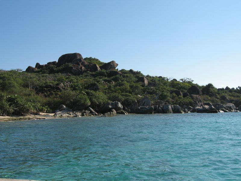 10_VIR_48.JPG