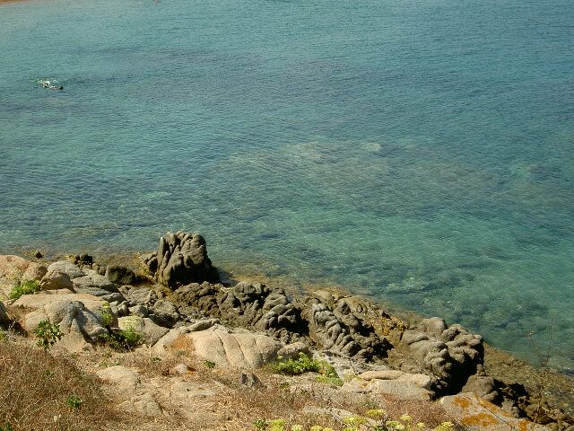PICT2278.JPG