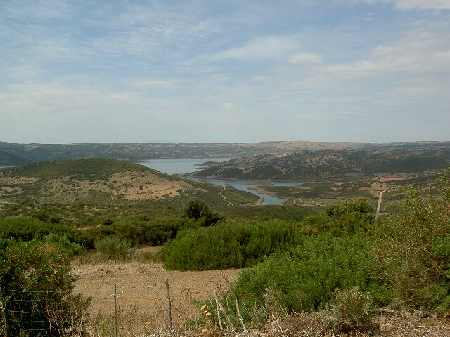 PICT2307.JPG