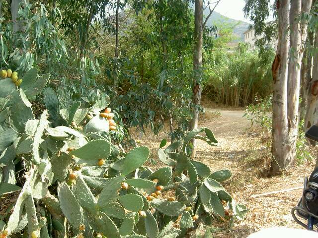 PICT2330.JPG