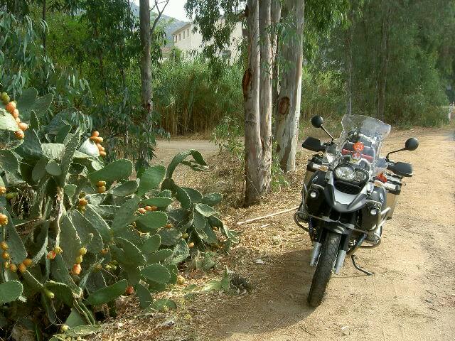 PICT2331.JPG