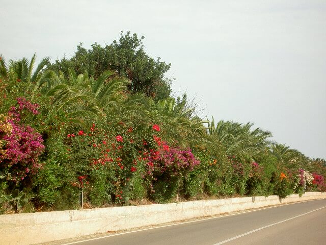 PICT2332.JPG