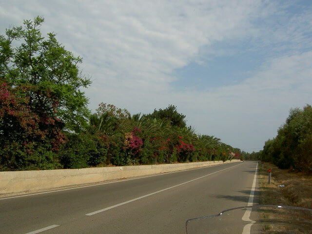 PICT2333.JPG