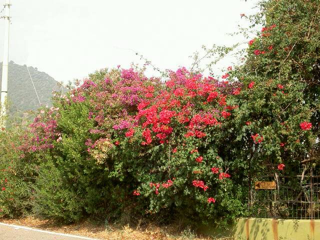 PICT2334.JPG