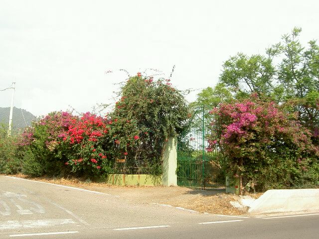 PICT2335.JPG