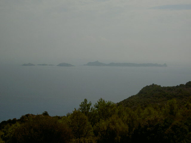 PICT2337.JPG