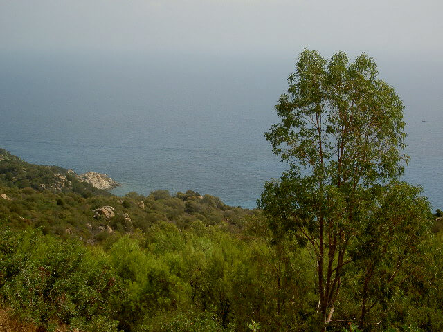 PICT2338.JPG