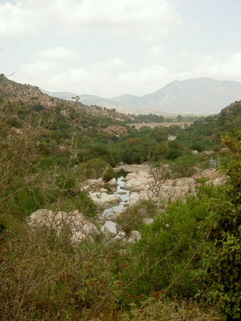 PICT2342.JPG