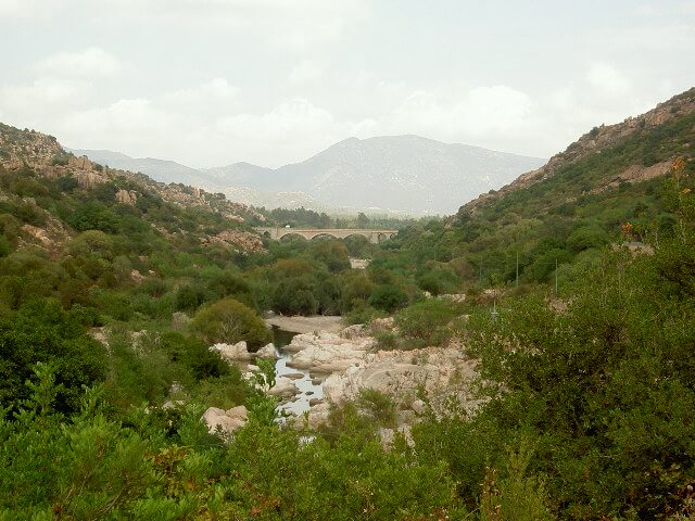 PICT2343.JPG